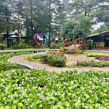 Hotel Y Restaurante Alicante De Montana, El Salvador Concepción de Ataco Buitenkant foto