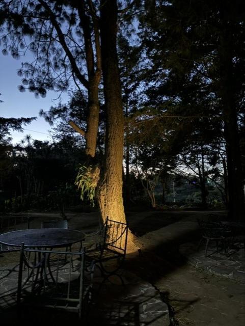 Hotel Y Restaurante Alicante De Montana, El Salvador Concepción de Ataco Buitenkant foto