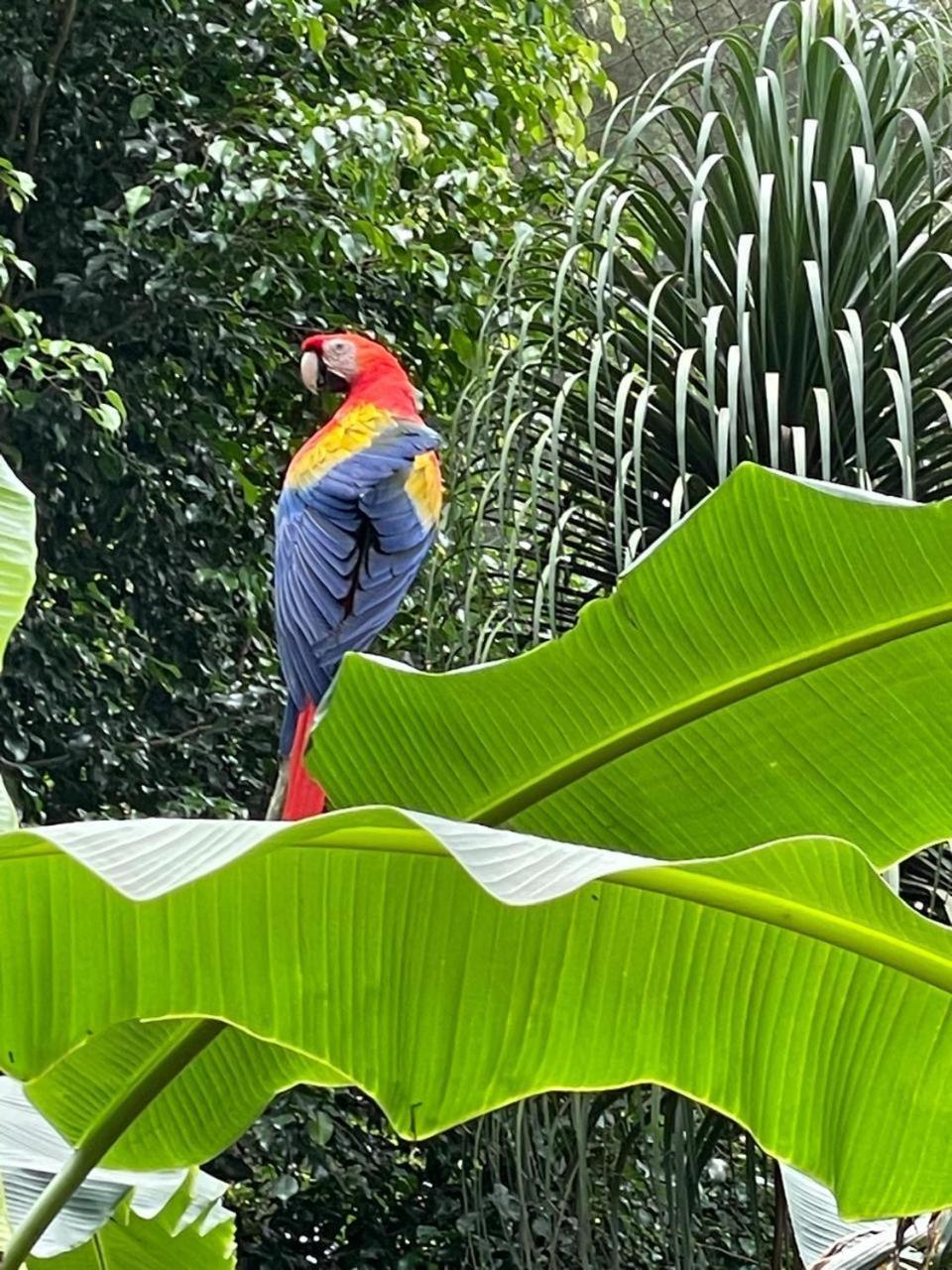 Hotel Y Restaurante Alicante De Montana, El Salvador Concepción de Ataco Buitenkant foto