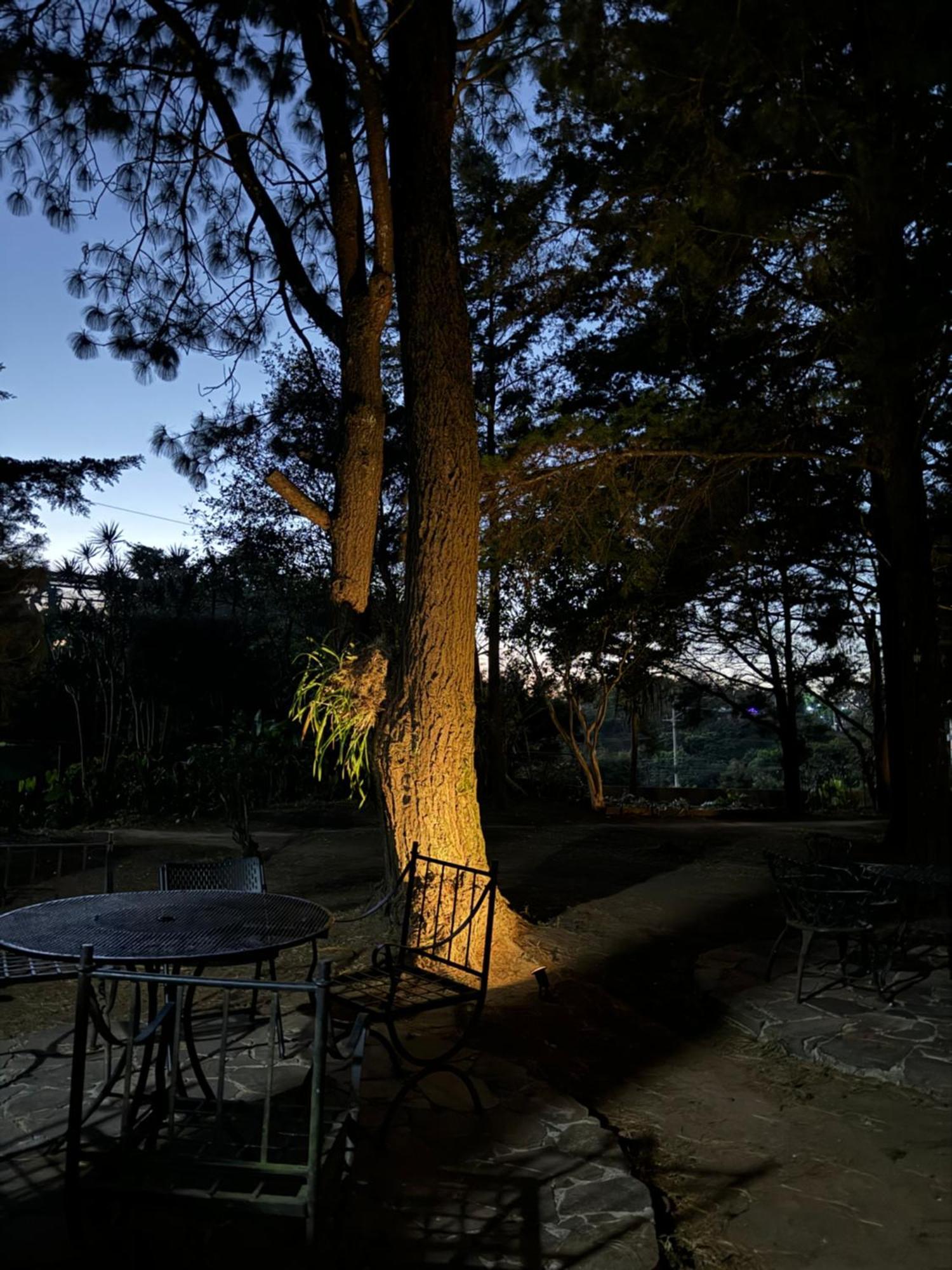 Hotel Y Restaurante Alicante De Montana, El Salvador Concepción de Ataco Buitenkant foto